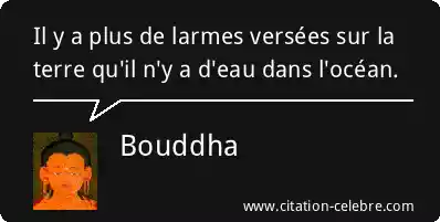 citation-bouddha-5390.png