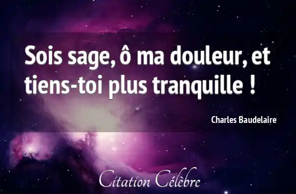 Citation Sage, Douleur & Toi (Charles Baudelaire - Phrase n°50772