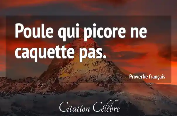 Proverbe Poule (Proverbe Dicton n°53865) CITATION CÉLÈBRE