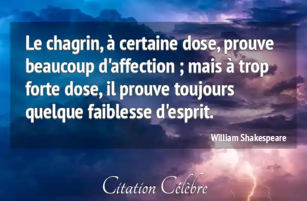 Citation Esprit, Chagrin & Beaucoup (William Shakespeare - Phrase n