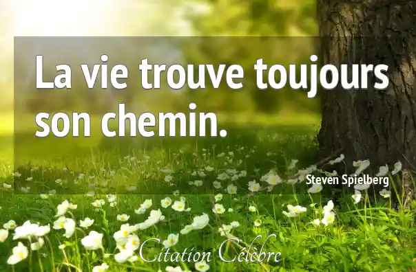 Citation Vie, Chemin &amp; Trouve (Steven Spielberg Phrase n