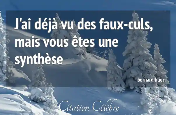 Citation Faux, Etes &amp; Vu (Bernard Blier Phrase n°99711