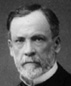 Louis Pasteur