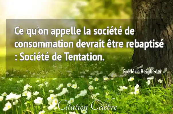 Citation Fr d ric Beigbeder Societe Ce Qu on Appelle La Soci t De 